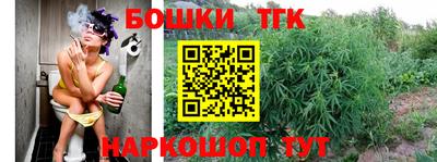 ГАЛЛЮЦИНОГЕННЫЕ ГРИБЫ Пугачёв