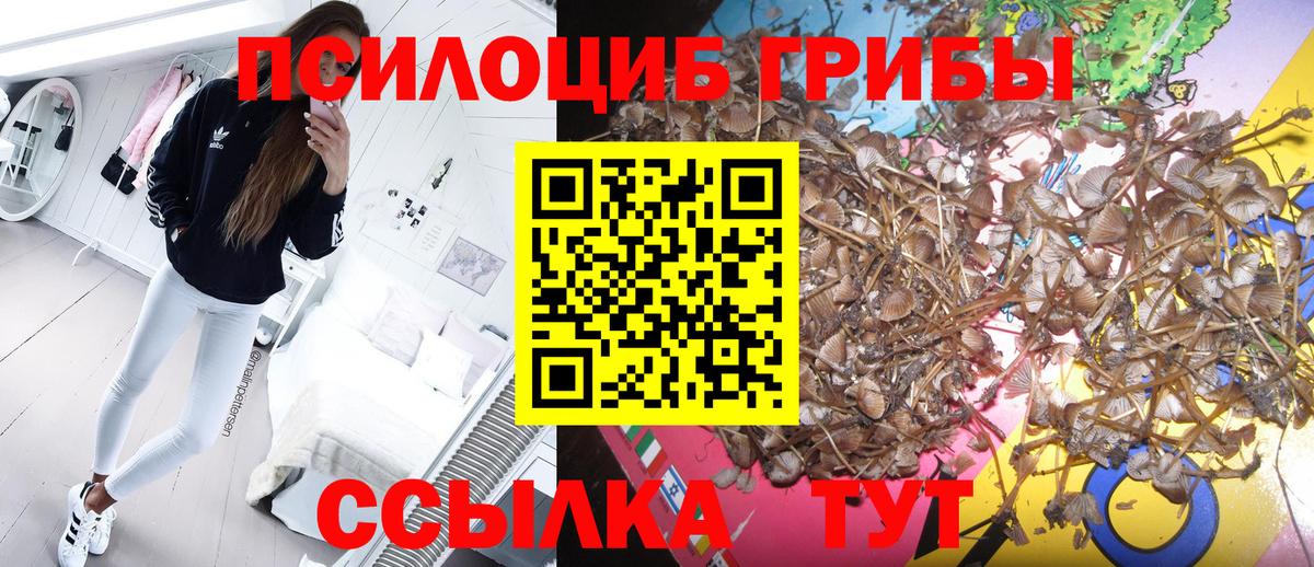 Псилоцибиновые грибы GOLDEN TEACHER Сарапул